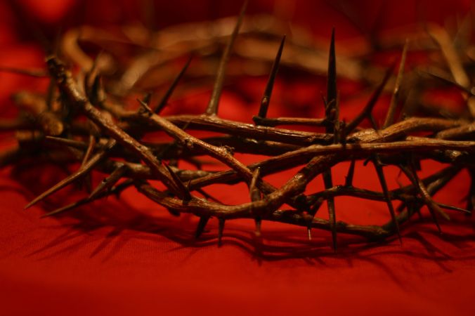 AdobeStock_1838222Crown of Thorns